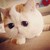 :iconzhenya017: