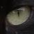 :iconzherehint:
