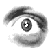 :iconzhocho: