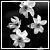 :iconzhou-ying:
