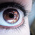 :iconzicka:
