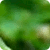 :iconzielen-w-czerwieni: