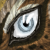 :iconzielitch: