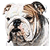 :iconzigfrid-trisa: