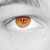 :iconziggazune: