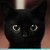 :iconzigglebacktoastbones: