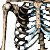 :iconziggythewise: