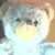 :iconziiggyboys: