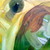 zillesia56 :iconzillesia56: