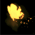 :iconzimelis: