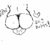 :iconzimshomeskillet: