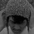 :iconzingwalker2012: