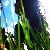 :iconzingzhang: