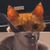 :iconzinramm: