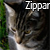 :iconzippar: