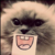 :iconzipperrabbit: