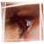 :iconZippora: