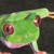 :iconzippydooda: