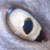 :iconzipstero: