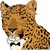 :iconzirsjet:
