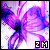 :iconzmokachan: