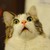 :iconznailmonkey:
