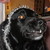 :iconznookey: