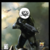:iconznorden: