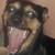 :iconznowcicle:
