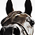 :iconzodearest: