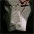 :iconzodiac-bones: