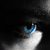 :iconzoe6977: