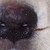 zoey909 :iconzoey909: