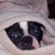 :iconzoie21: