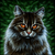 :iconzoke117: