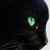 :iconzombehbrainz: