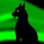 :iconzombie-panther: