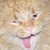 :iconzombie-pride: