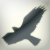 :iconzombie-transformer: