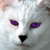 :iconzombiedubstepslayer: