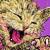 :iconzombiekitty007: