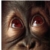 :iconzombiemonkeys: