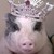 :iconzombietamworth: