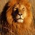 :iconzombiewhoard352: