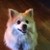 :iconzombiewolf1988: