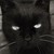 :iconzombocat89:
