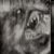 :iconzombpire: