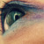 zomgxx2345 :iconzomgxx2345: