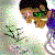 :iconzoneender:
