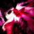 :iconzonys:
